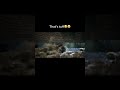 Let Him Get Up Hornet Funny Humor Memes Bees Funnyvideos