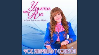 Un Golpe Mas (feat. Jose Guadalupe Esparza De Bronco)