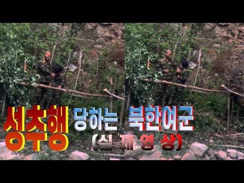 성추행 당하는 북한여군 실제영상 [오늘의 북한]Actual footage of a North Korean female soldier being sexually. 