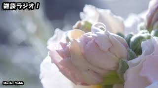 まったり雑談ラジオ　「ウィンドウズアプデ ＆ 横須賀と自然」