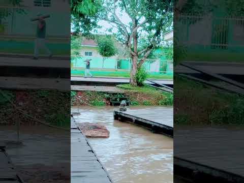 chuva no município de anamã Amazonas #anamã