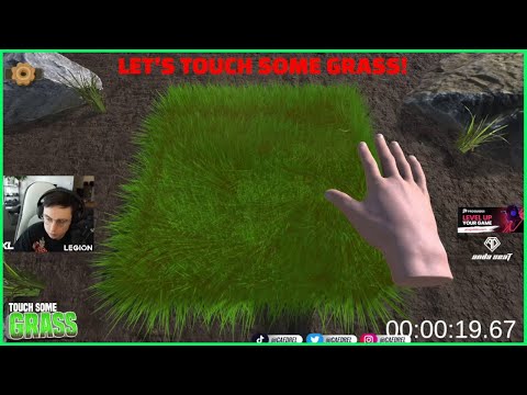 Professional Grass Toucher