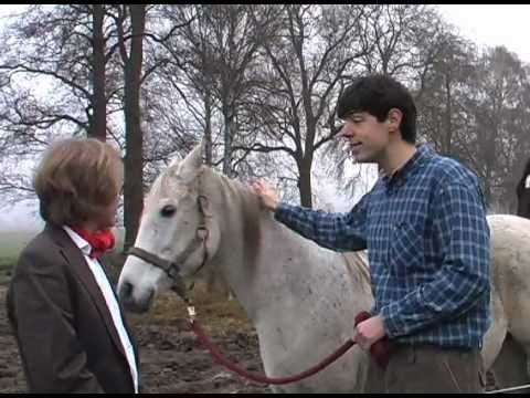 Tele-Jura: Die Zuchtstute Samantha