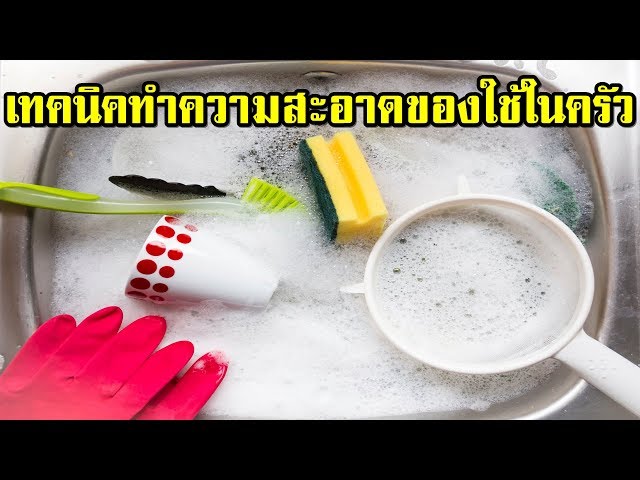 เทคนิคทำความสะอาดของใช้ในครัว - ครัวลงพุง