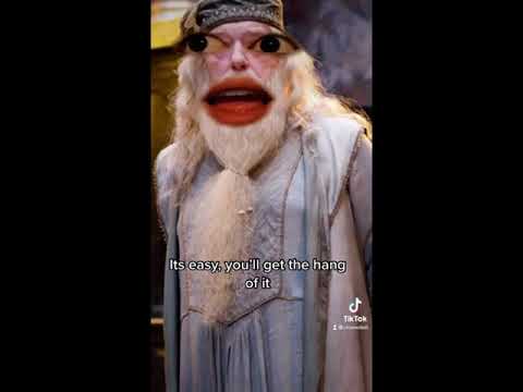 Dumbledore snape and Professor mcgonagall play a game  Tiktok