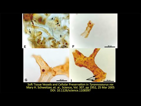 Dinosaur Blood Everywhere! Part 23, The Complete Creation, 3rd Edition