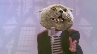 Download lagu Rick Rolled (Cat Version) mp3 Download lagu Rick Rolled (Cat Version) mp3