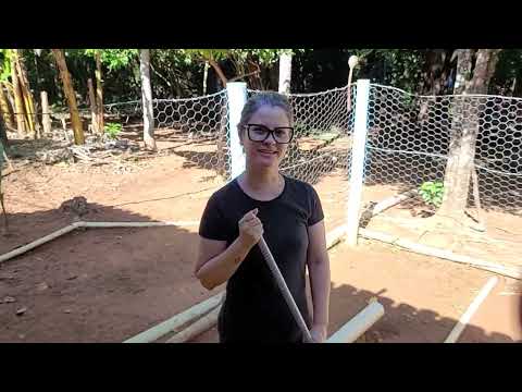 Sítio #vivendo sonhos #poder do alto #faina Goiás 