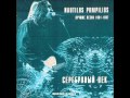 Nautilus Pompilius - Тутанхамон (w/ lyrics) 