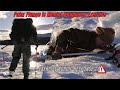 II MEF Marines Ice Breaker Drill Nordic Response 24 Setermoen NORWAY