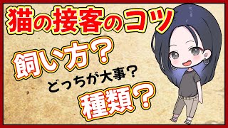 猫の接客のコツ（ペットショップ社長が教える）