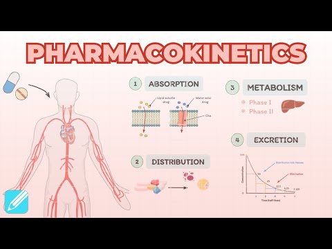 Pharmacokinetics: Absorption, Distribution, Metabolism & Excretion