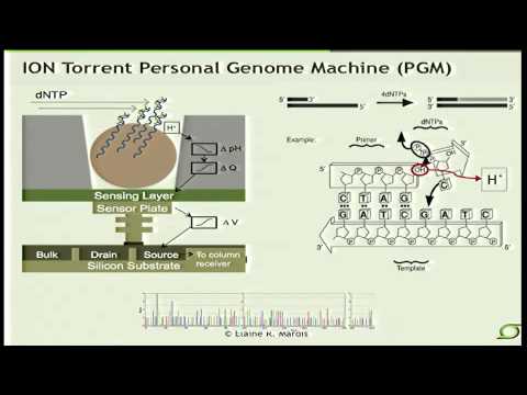 Next-Generation Sequencing Technologies - Elaine Mardis (2012)