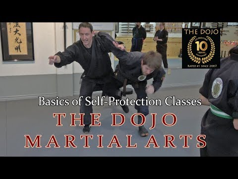 Beginner Self-Protection Class clips at The Dojo Martial Arts