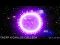 TRIPP X Carlos Colleen - Let It Go (Original Mix) [Deep House]