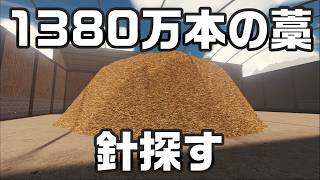 イカレてやがるｗｗｗｗｗ【Find The Needle】