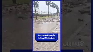 الأمواج العاتية تقذف الحجارة وتقطع الطريق على ضفاف شاطئ الغندوري بمدينة طنجة thumbnail