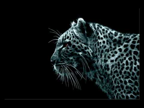 DK Foyer - Attention please