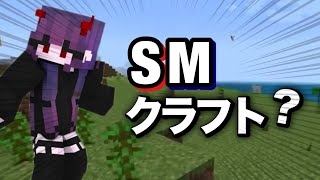 【SMクラフト】この中にSMプレイが大好きな人がいます【マイクラ】