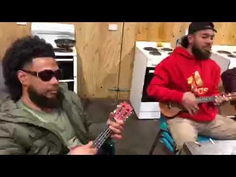 kalapu talipaea - manu 'o palataisi