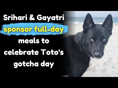 Srihari & Gayatri sponsor full-day meals to celebrate Toto's gotcha day