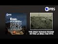 The Only Human Found In The La Brea Tar Pits