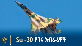 20 ቶን የሚመዝኑ ተዋጊ ጀቶች