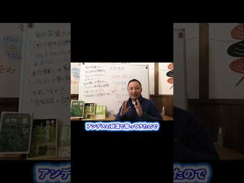 ジャガイモの隣に植えてはいけない植物は何ですか?最悪のコンパニオンプランツの完全なリスト  庭園