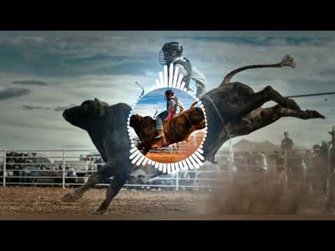 Forró boys vol 07 - CD Completo "Redondo" 2019