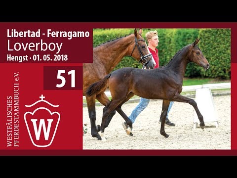 51 Loverboy Hengst v. Libertad - Ferrgamo