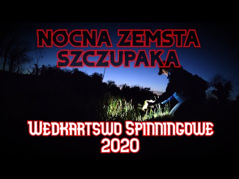 Bez planu - Szczupak - Znalazłem wobler - Udało się? Wędkarstwo Spinningowe 2020 - Irlandia
