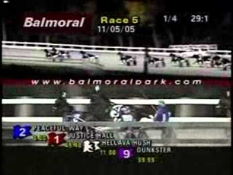 American National Open Trot 2005 -Peaceful Way