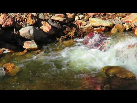 Sunflower Az. Snow Melt