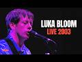 Luka Bloom –  Live 2003