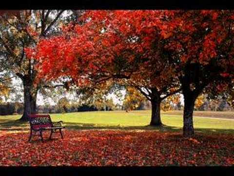 Miroslav Ilic - Esenna Balada