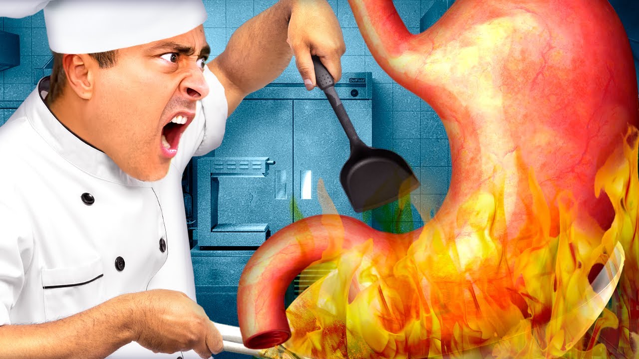 SISTEMA DIGESTÓRIO: Estômago | AULA 3