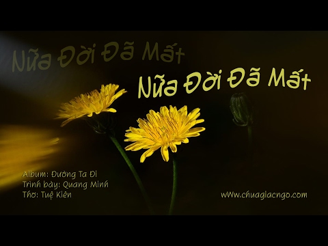 Nữa đời đã mất