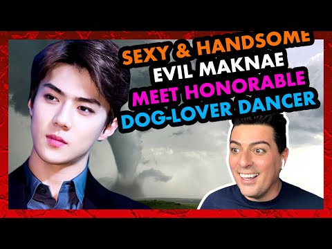 EXO (엑소) – Guide To Sehun (세훈) - KPOP REACTION - 2020