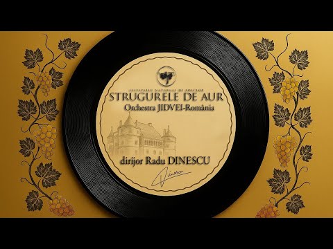 18. Colaj Dobrogea - Ansamblul Jidvei România ( Strugurele de Aur 2025 ) ✨ 