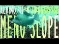 Diving Meno Slope, Gili Meno - ALBINO TITAN TRIGGERFISH