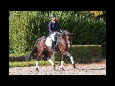 RAMBO by Rock Forever