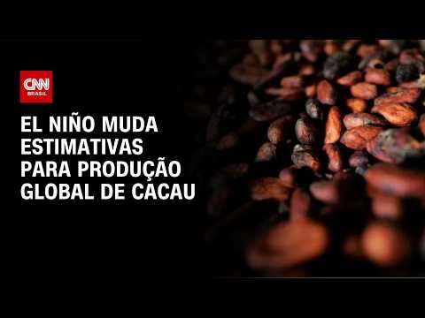 El Niño reduz, em média, 1,7% da produção global de cacau | CNN AGRO NEWS