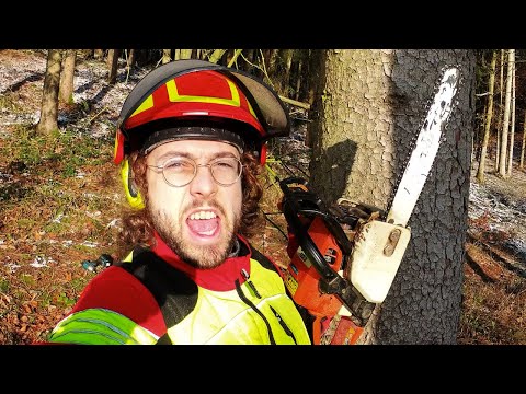 UNZERSTÖRBAR: Die Stihl 023 kanns mit der Stihl MS 500i aufnehmen