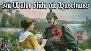 Im Walde blüht die Haselnuss [German soldier song][+English translation]