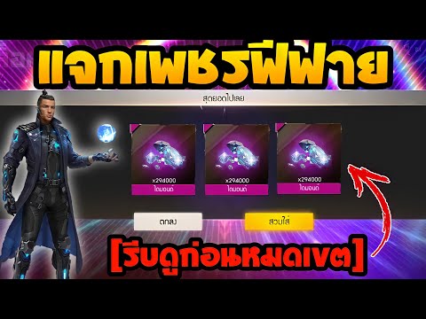 ฟีฟายฟรี