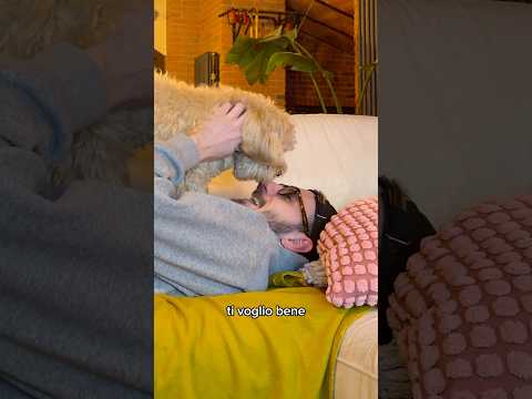 Buon Compleanno Frikkettone 🎂 #chico #divertente #cane #canedivertente #funny