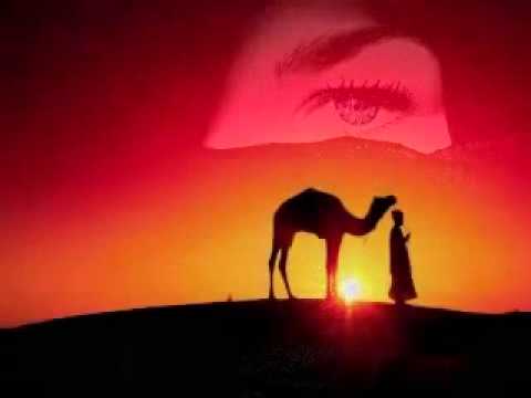 اجمل اغنية في العالم '' شاب مامي ''  جيبولي مالي