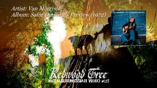 Redwood Tree - Van Morrison (1972) ~MetalGuruMessiah~