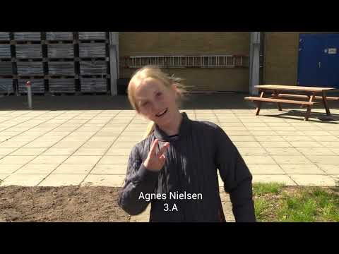 Søndermarksskolens Sidste Skoledag - Nomineringer 2022