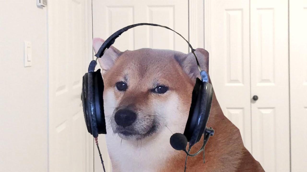 The Future of My Channel